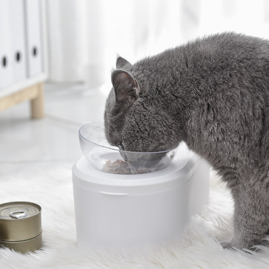 Cat Bowl Oblique Mouth Double Bowl Protection Cervical Spine Cat Food Bowl Cat Food Bowl